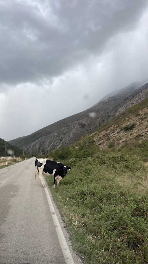 Albanien