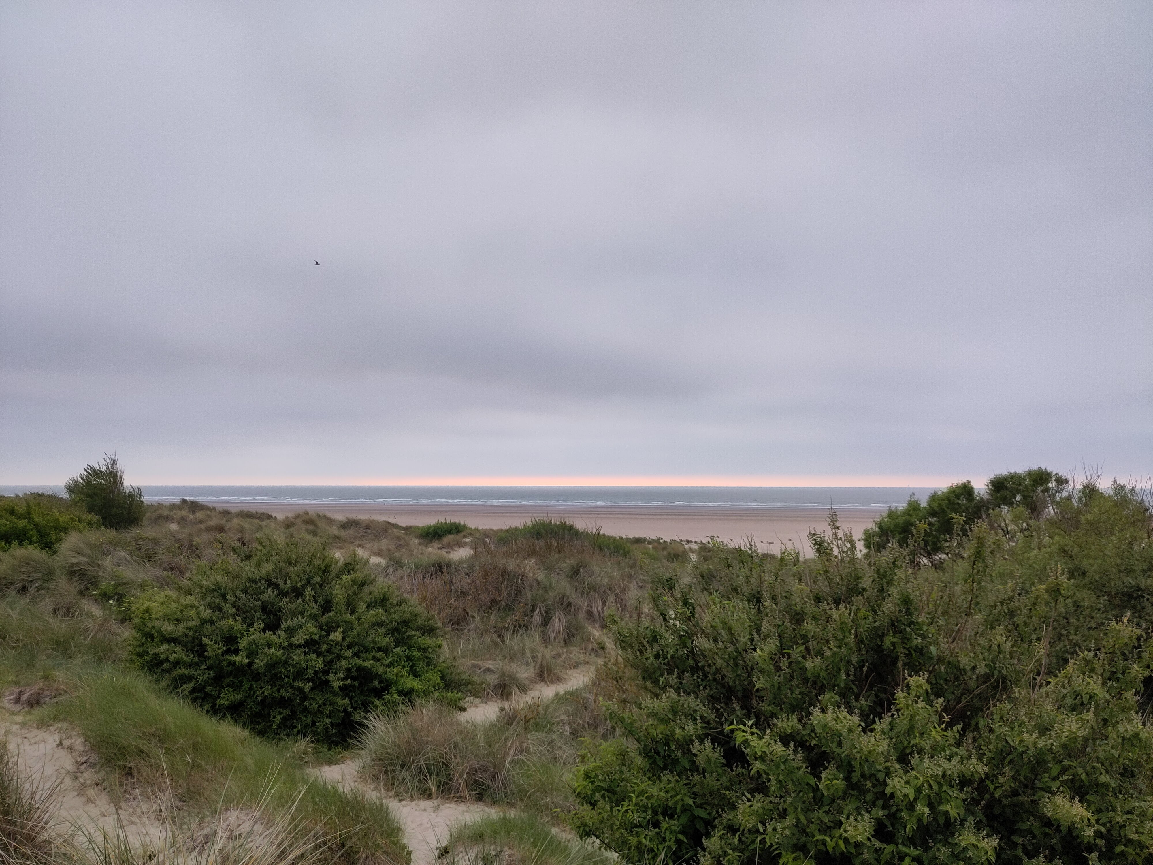 Niederlande
