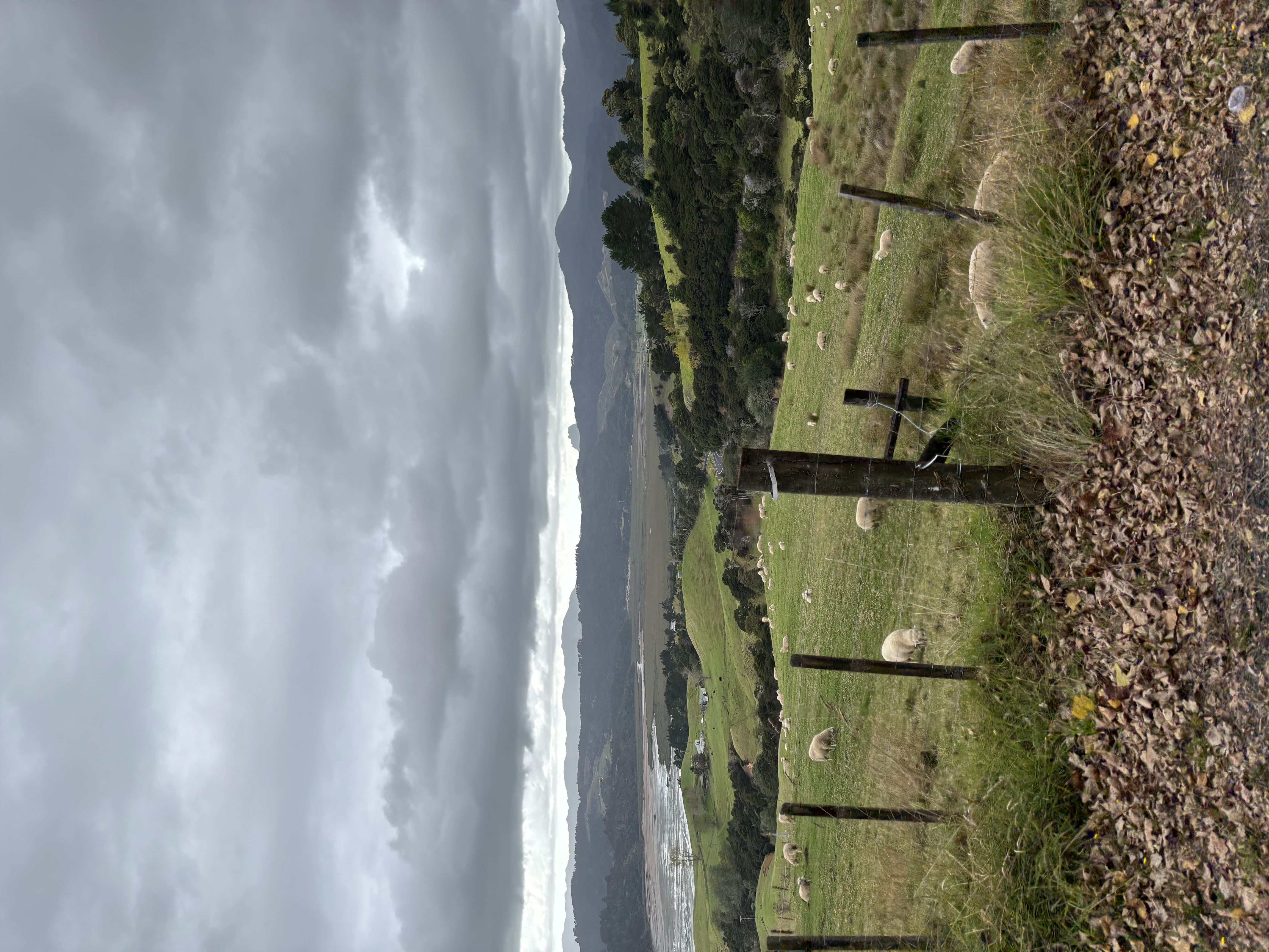 NZ