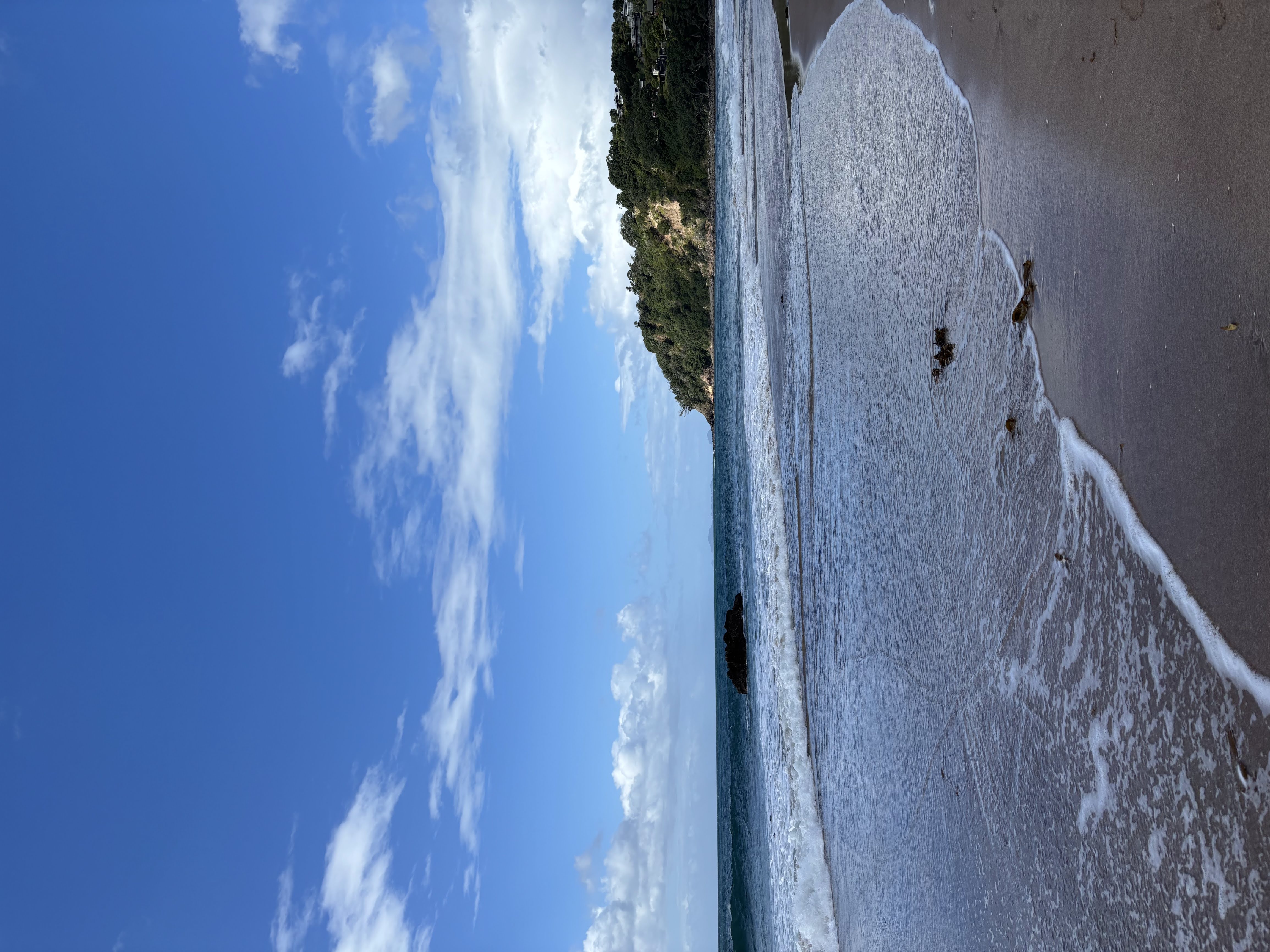 NZ