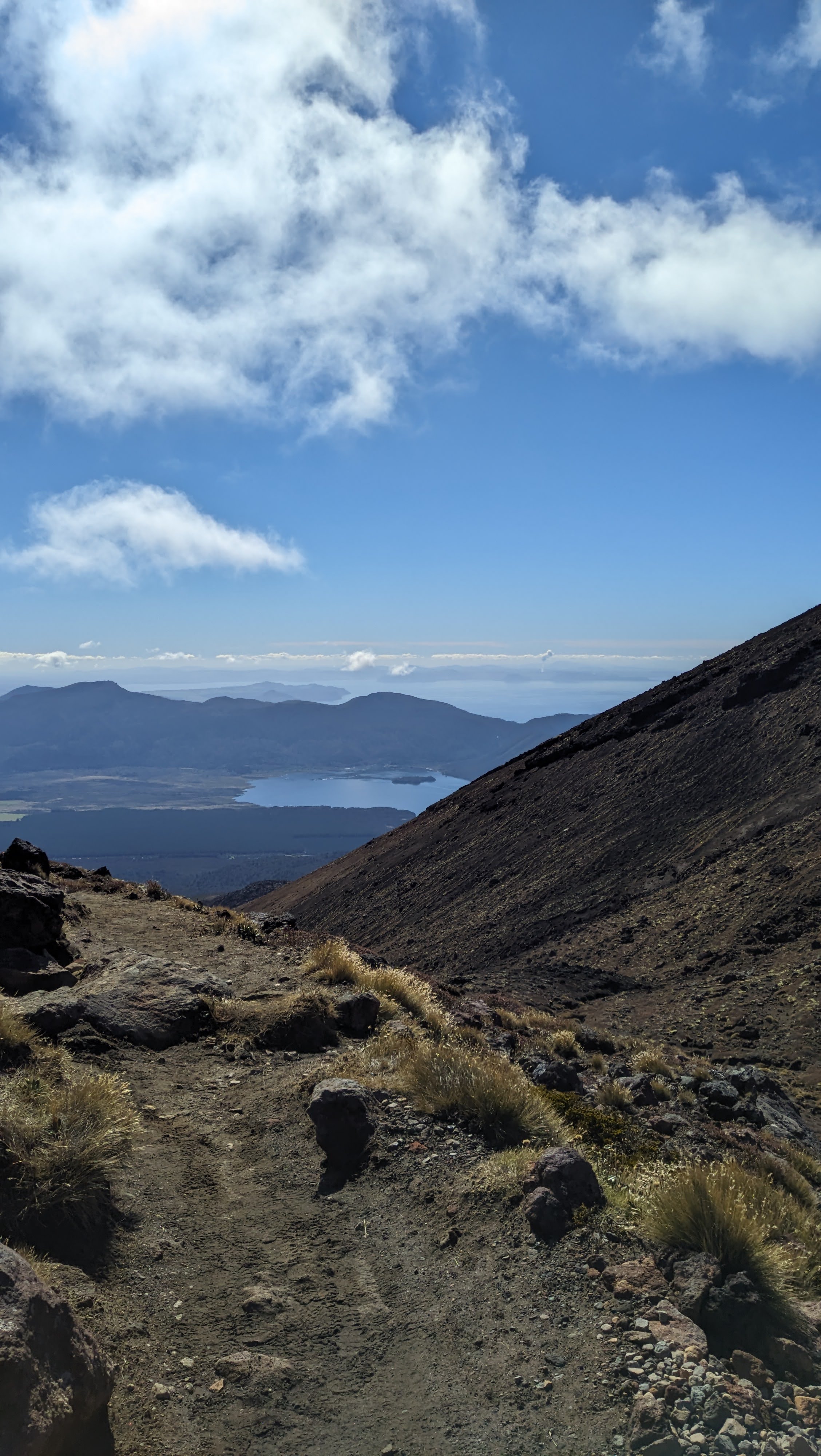 NZ