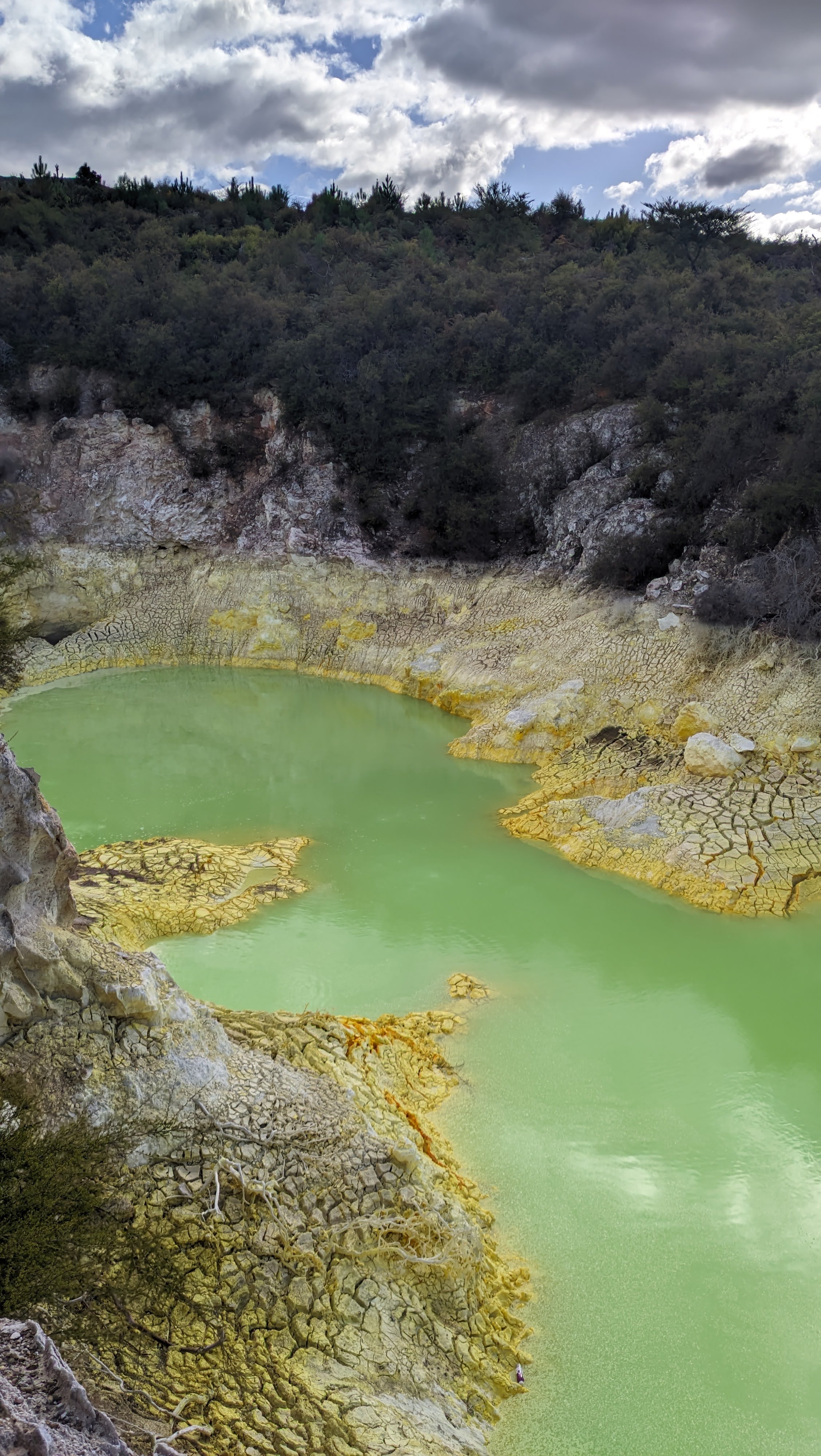 NZ